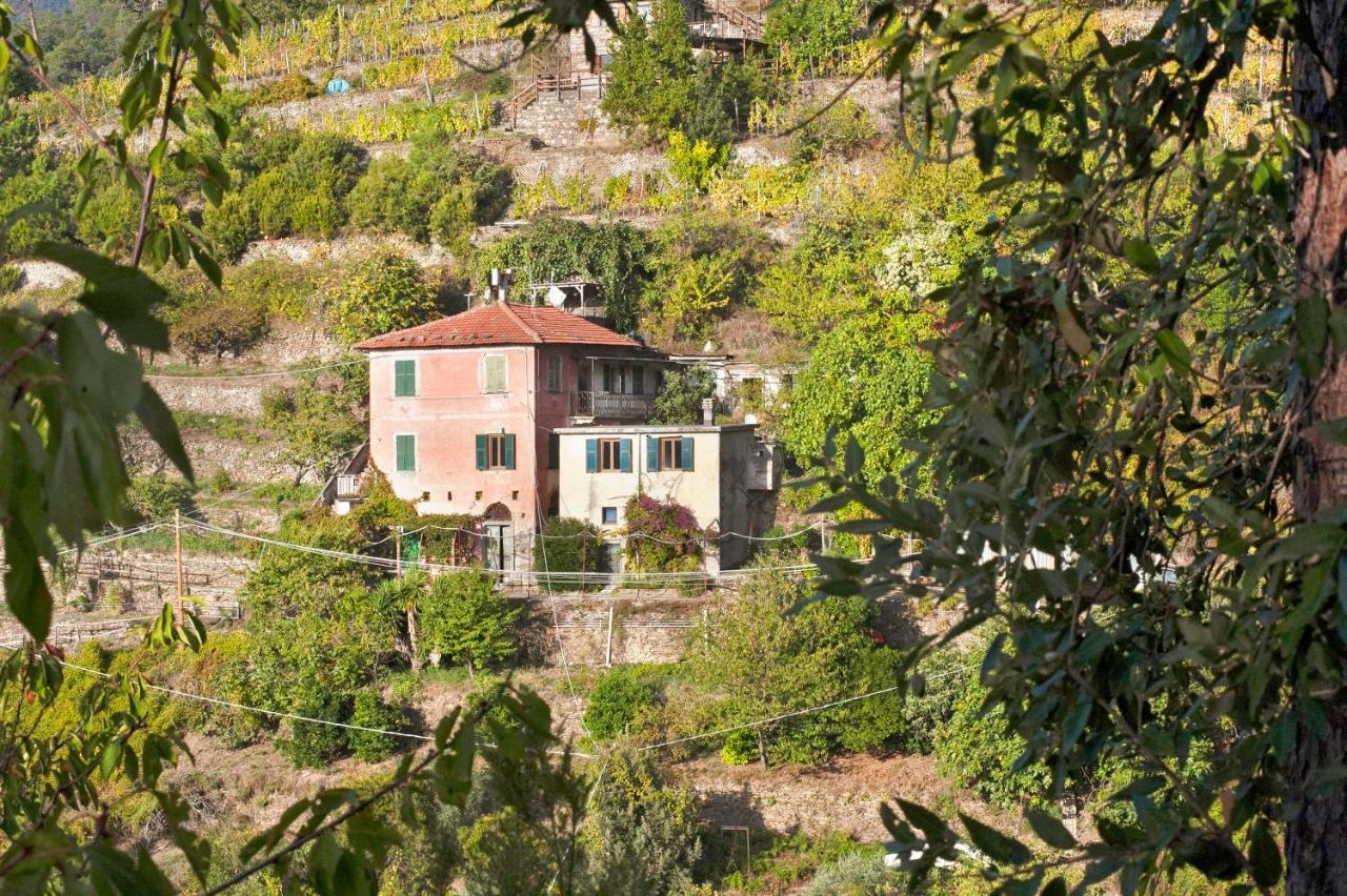 Seroa 1 San Bernardino Dış mekan fotoğraf
